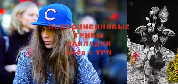 mix Богородск