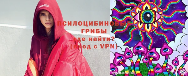 mdpv Богородицк