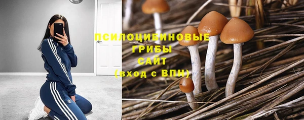 mdpv Богородицк