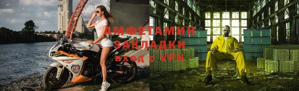 мдпв Ельня