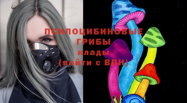 mdpv Богородицк