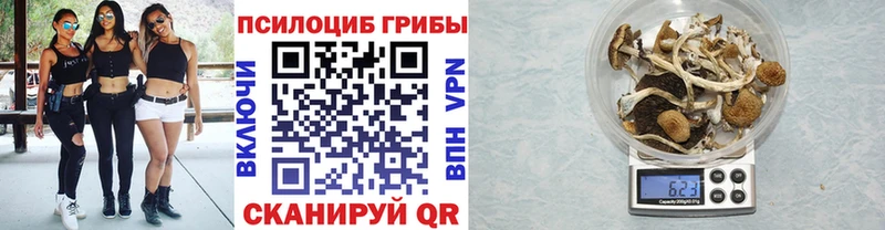 что такое наркотик  Волгореченск  ОМГ ОМГ ONION  Псилоцибиновые грибы мухоморы 